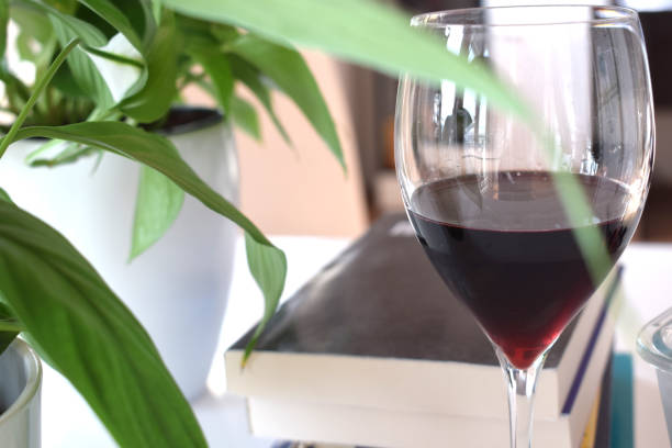 istock glass of wine with books relaxation 2019933531