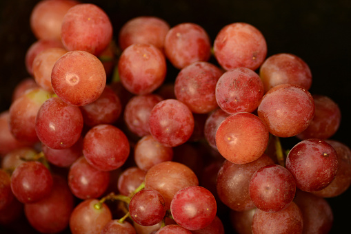 Bunch of red grapes. fresh and juicy.