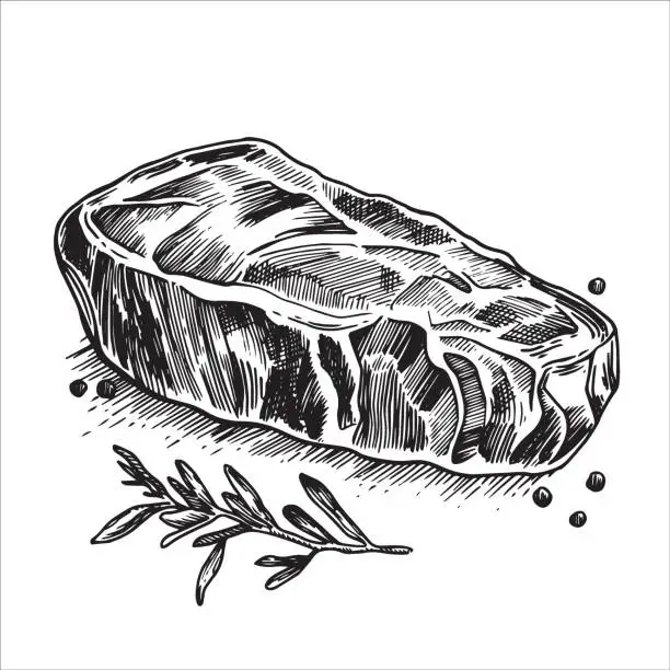 Vector illustration of piece of meat, steak. black and white drawing in sketch style, engraving. beef, pork