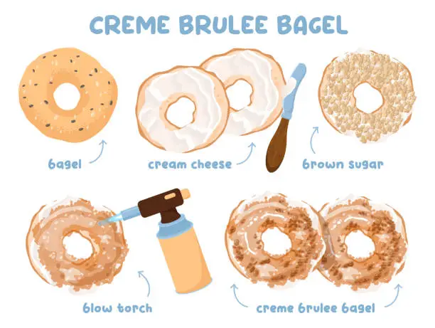 Vector illustration of Creme brulee bagel set. Baked donut sandwich or dessert recipe.