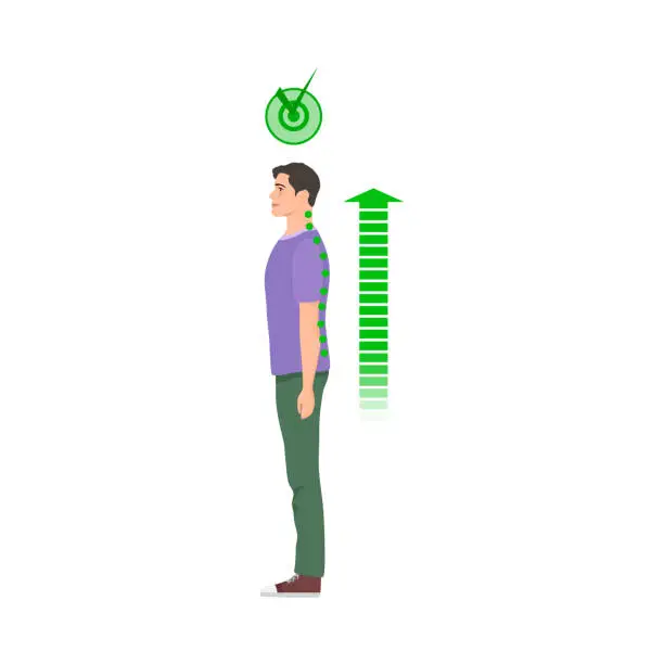 Vector illustration of Standing man with correct spine posture