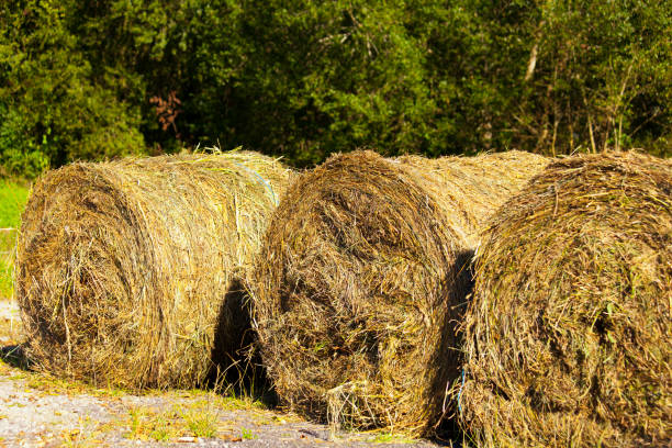 Straw Bales, close-up view  in Asturias, Spain