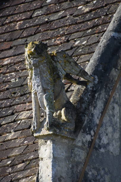 posąg gargulca na dachu kościoła w monhoudou, w sarthe, we francji - chimera zdjęcia i obrazy z banku zdjęć