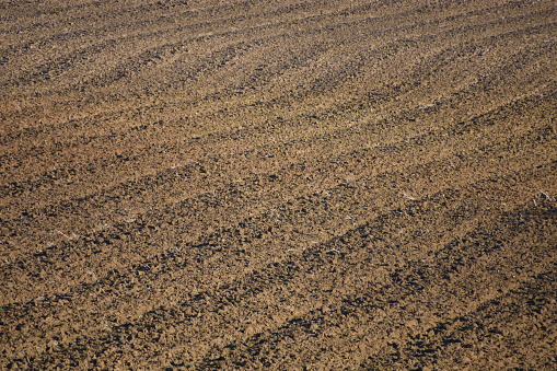 Des ondulations de la terre sur un champs dans une ferme, dans la campagne, en Sarthe, en France