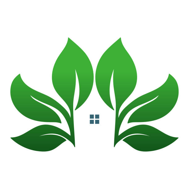 녹색, 식물, 나무, 잎, 와, 집, 치고는, 환경, 초본 온천장 삽화, 디자인 벡터 - villa rinaldi stock illustrations