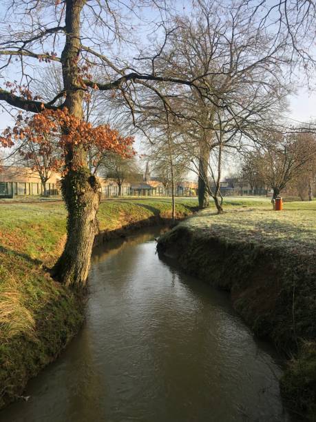 istock A stream during winter, going between trees and grass, in Sarthe, in France 2020103915