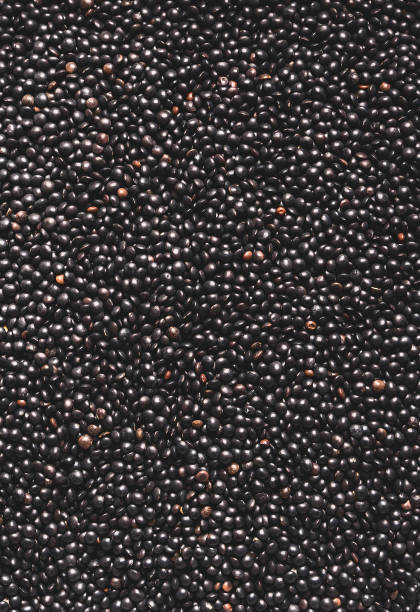 Black lentils background. Protein rich vegan foods. Plant based protein  source. Top view. Texture