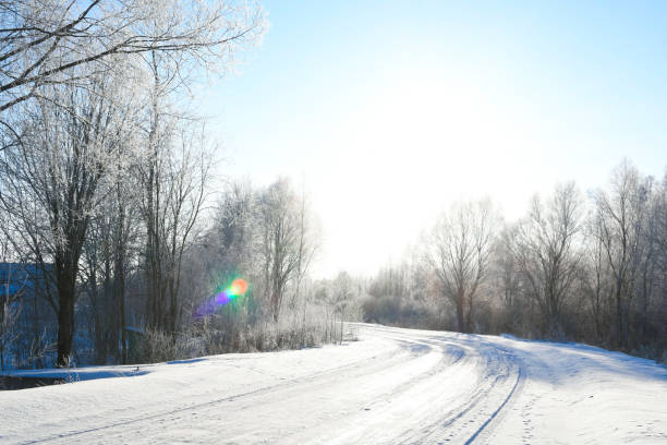 Snowy road. The sun is peeking out among the trees. Winter.