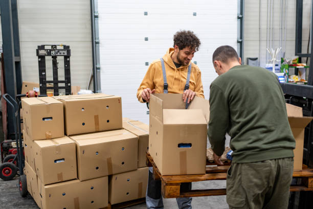 istock Two colleagues working at warehouse storage room together 2020120876