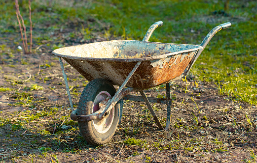 Old rusty wheelbarrow on the ground in the garden. Selective focus.