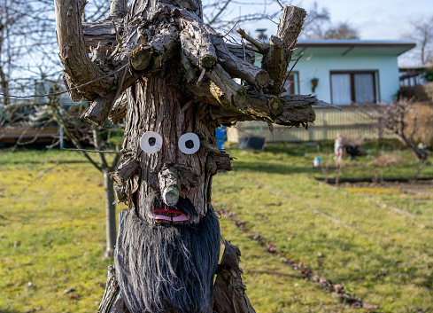 Tree faces and forest spirits in a garden