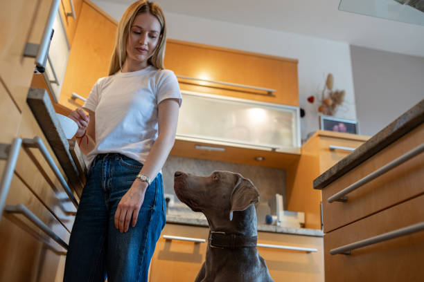 istock A girl and a dog in an apartment 2020170179