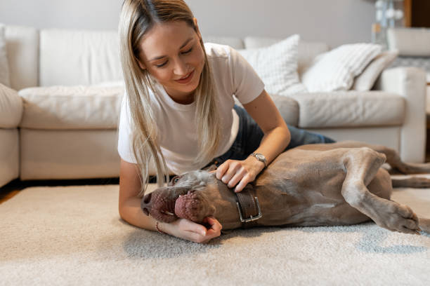 istock A girl and a dog in an apartment 2020170182