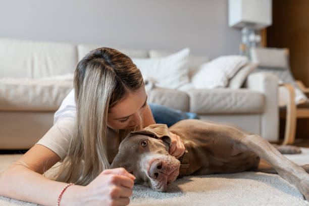 istock A girl and a dog in an apartment 2020170189