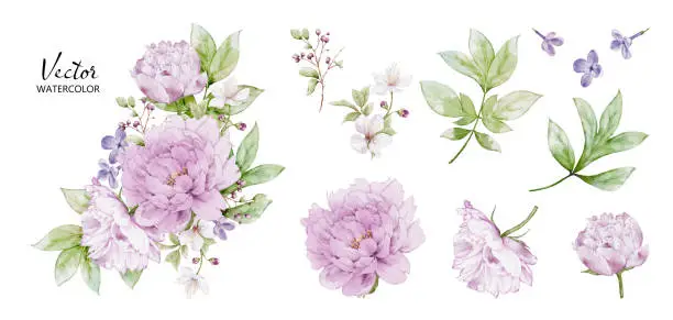 Vector illustration of Set of watercolor bouquets with peony flower elements