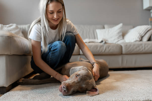 istock A girl and a dog in an apartment 2020170199