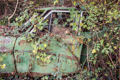 Thorny bush surrounding abandoned car