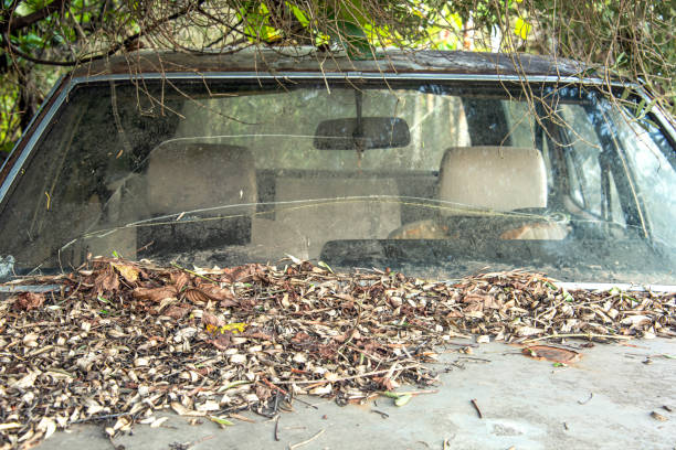 Scrap old car windshield and autumn leaves