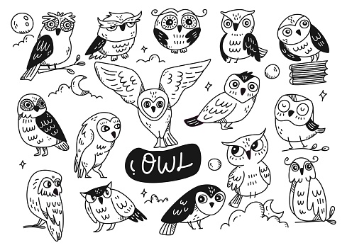 Set of cute owl doodle line art