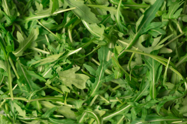 istock Fresh leaves of arugula as a background. 2020245458