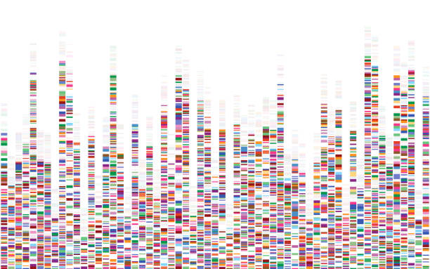 Dna test infographic. Genome sequence map. Dna test infographic. Genome sequence map. dna test stock illustrations