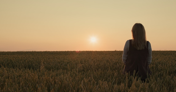 Silhouette of a farmer woman standing in a field of ripe wheat at sunset. Back view.