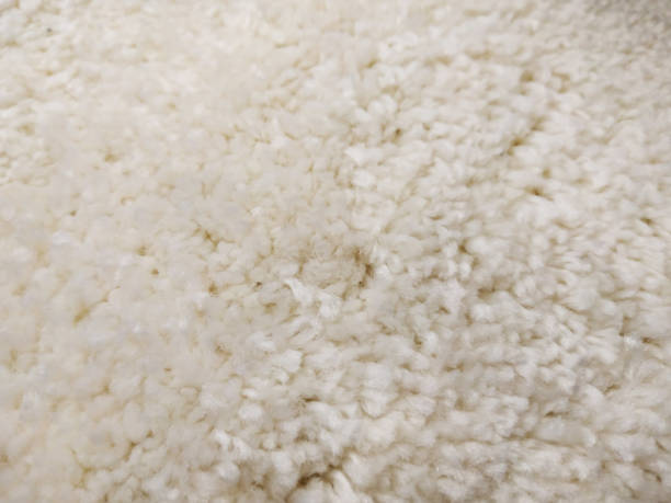 istock A fluffy beautiful carpet. Copy space. Flat lay, top view. 2020285797