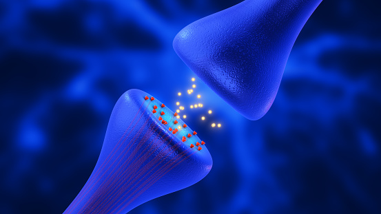 Neurons are specialized cells that transmit electrical and chemical signals in the brain and nervous system. They have a cell body, dendrites (which receive signals), and an axon (which transmits signals). When a neuron is activated, an electrical impulse called an action potential travels down its axon.