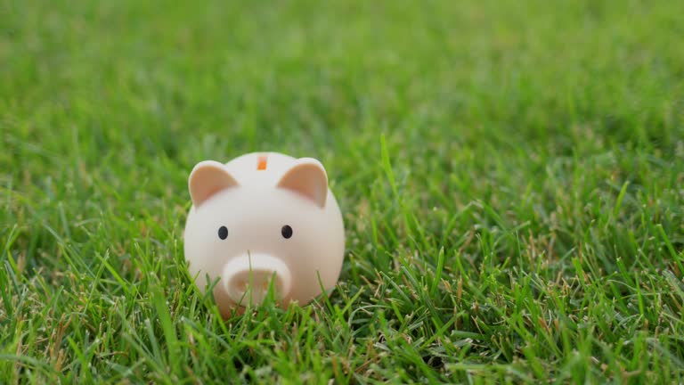 A man puts coins in a piggy bank that stands on a green lawn