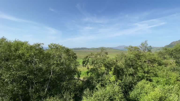 Scottish Highland Views From The Jacobite Express Steam Train