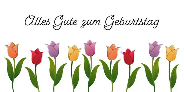 Vector illustration of Alles Gute zum Geburtstag - text in German language - Happy Birthday. Greeting card with with colorful tulips.