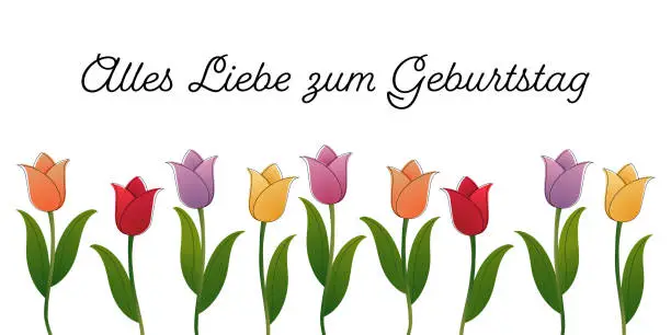 Vector illustration of Alles Liebe zum Geburtstag - text in German language - Happy Birthday. Greeting card with with colorful tulips.