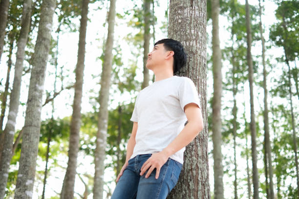 istock Young Asian Man walking into forest, looking up, fulfill with freshness, leaning against tree, feeling of nature, wind, and sun, realize the important of nature. 2020324326
