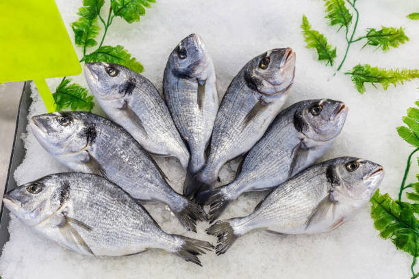 istock Raw Cupra fishes stock photo 2020344281