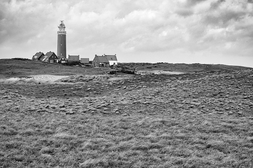 Black and white image of the lighthouse of Texel surrounded by some houses.