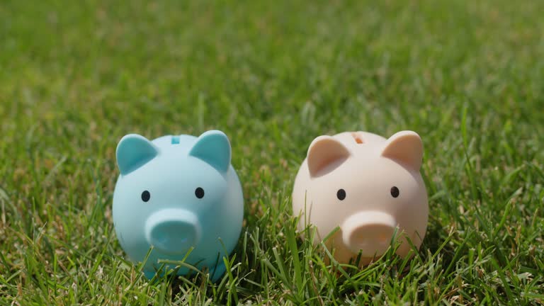 A hand puts coins in two piggy banks that stand on green grass. Family budget concept