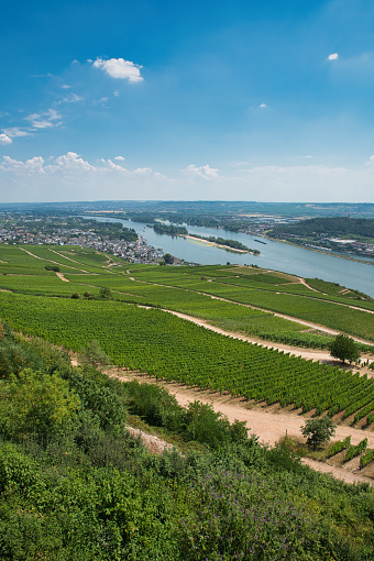 view at rhine river and city of ruedesheim germany