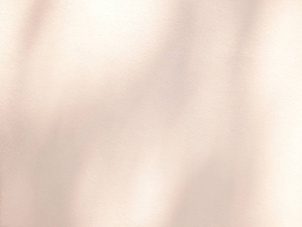 istock Abstract shadow of leaves on beige color wall background 2020466353