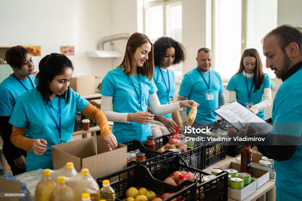 Supporting Food Organizing Food Donations Stock Photo - Download Image Now - Charity ...
