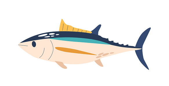 Tuna Fish, Swift, Migratory Underwater Creature With A Streamlined Body, Metallic Blue-black Coloration and Powerful Muscles, Aiding In Rapid Swimming Across Vast Ocean Distances. Vector Illustration