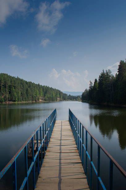 Bozcaarmut Pond view, Bilecik Bozcaarmut Pond view, Bilecik trailblazing stock pictures, royalty-free photos & images