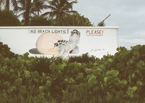 Palm Beach, Florida - July 1, 1987: An image painted on a concrete wall by John Hochella in 1987. The image is a small turtle hatching and the words 'No Beach Lights PLEASE! Lights near the beaches have disoriented nesting turtles.