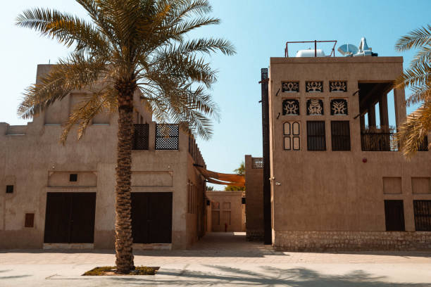 istock Regular street house architecture in Dubai with palm tree in front 2020505312