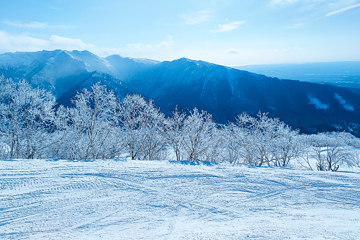 beautiful view of a winter snow-covered forest and mountains in the distance on a sunny day.