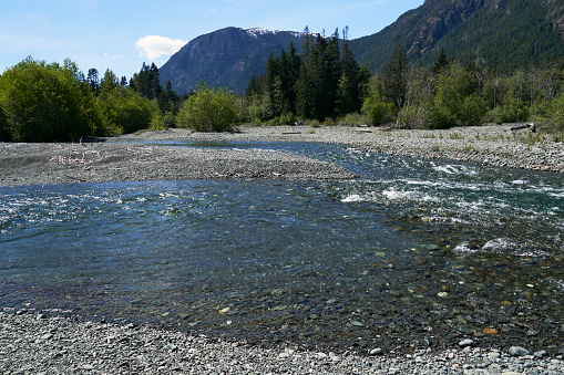 A gravel river bed meandering to the distant dense forest and mountains.