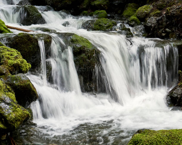 istock Turbulent waterfall rushing over a steep cliff at a popular toursit destination, with mossy rocks. 2020530969