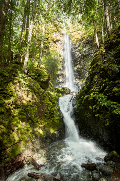 istock View of a majestic, tall waterfall cascading down the mountain side. 2020530972