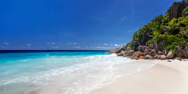 istock Beach of Seychelles 2020540756