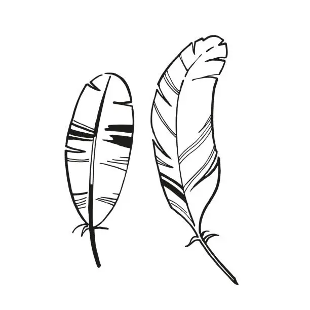 Vector illustration of vector frame of hand drawn bird feather with spots, inked monochrome illustration of feather, black and white sketch isolated on white background