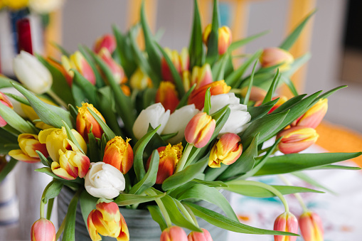 A modern spring bouquet of freesias, ranunculus and tulips in a beautiful vase on a dining table